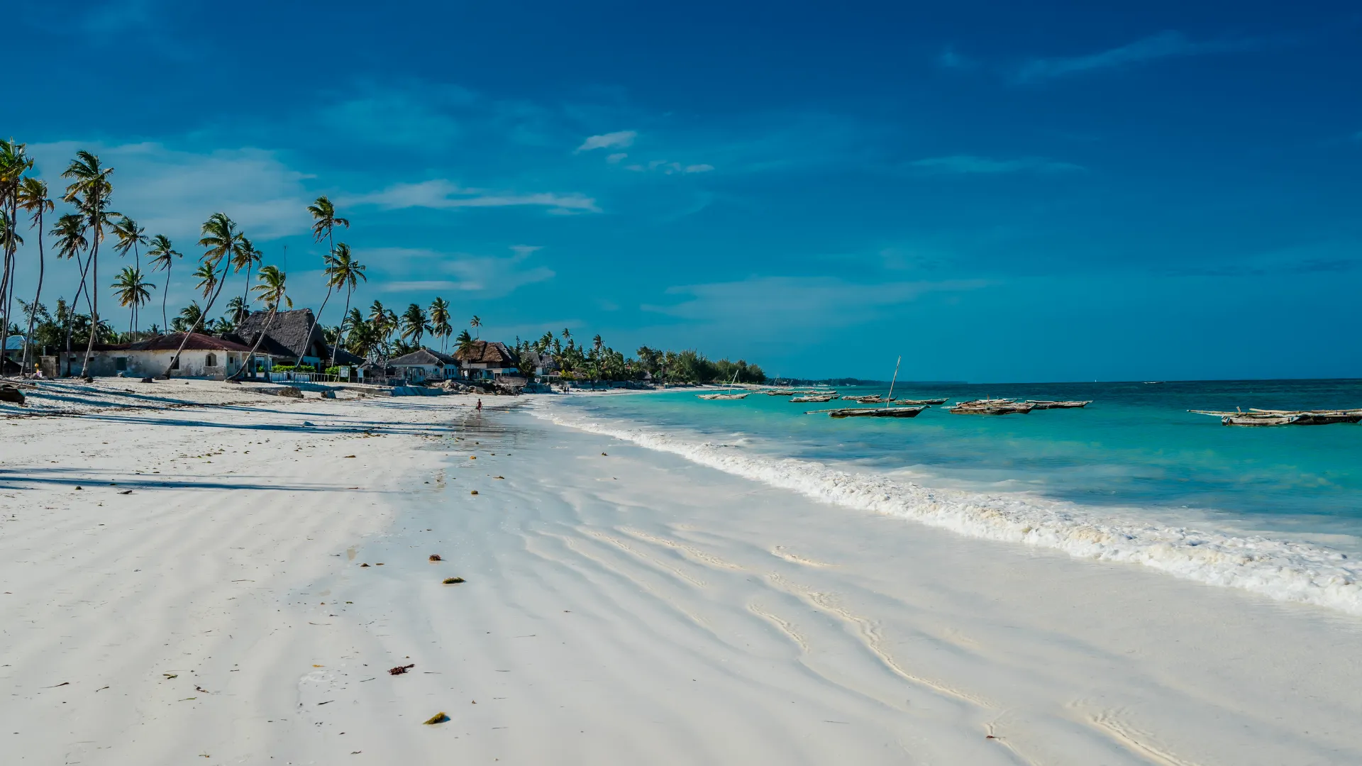 9-Day Tanzania Safari & Zanzibar