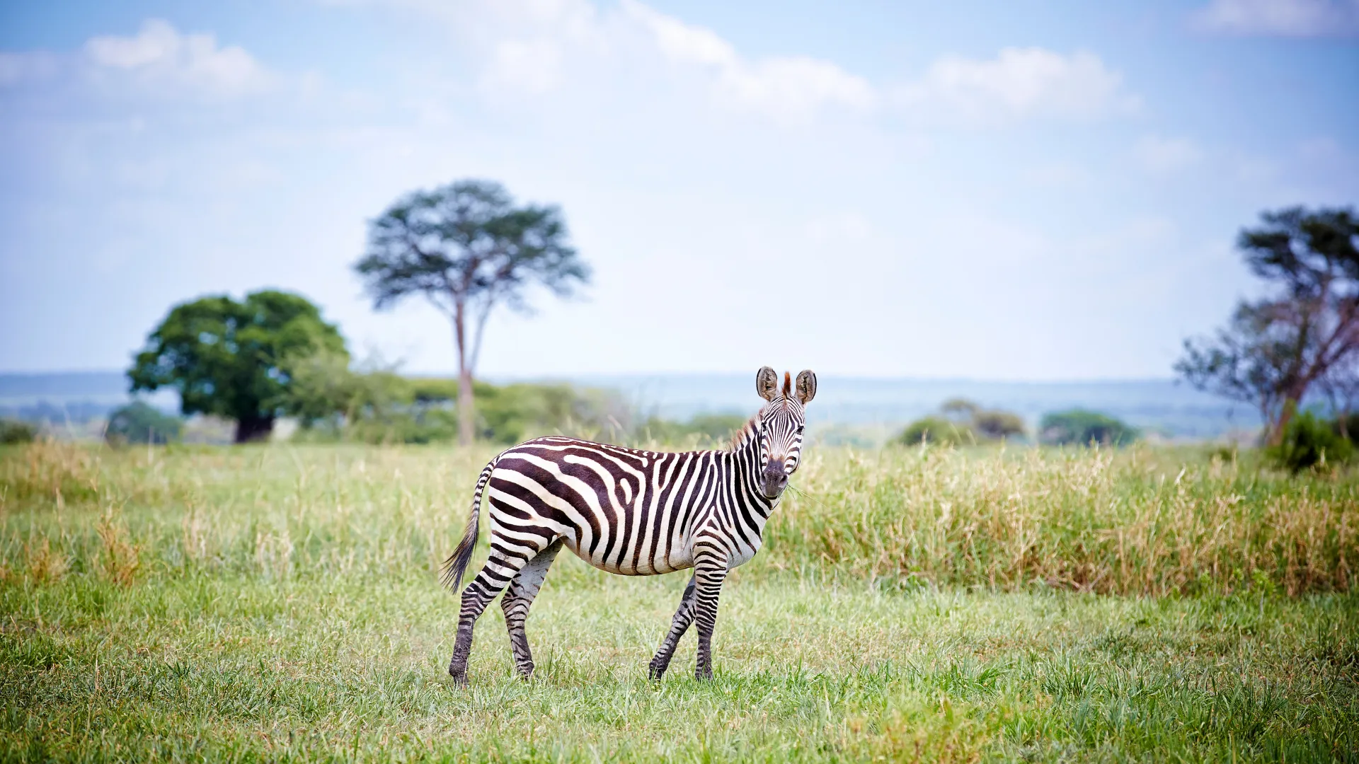 12-Day Trip Northern Tanzania & Zanzibar