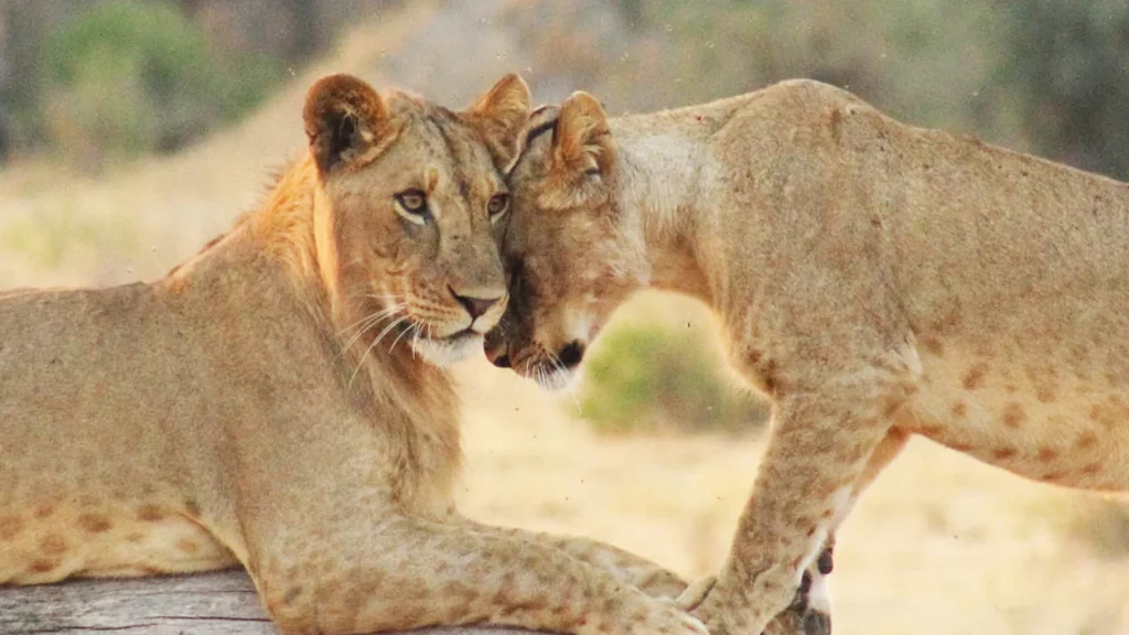 Serengeti National Park