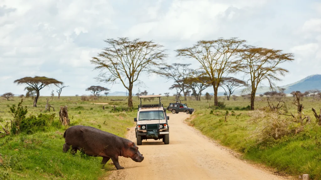 8-Day Serengeti Migration Safari, Northern Tanzania