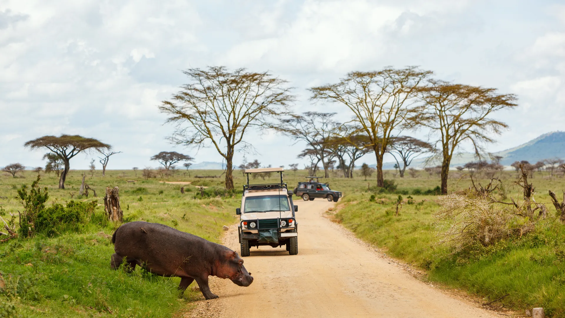8-Day Serengeti Migration Safari, Northern Tanzania