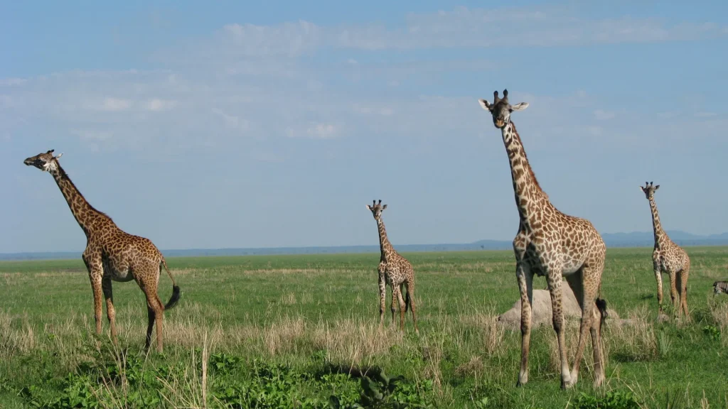 Arusha National Park